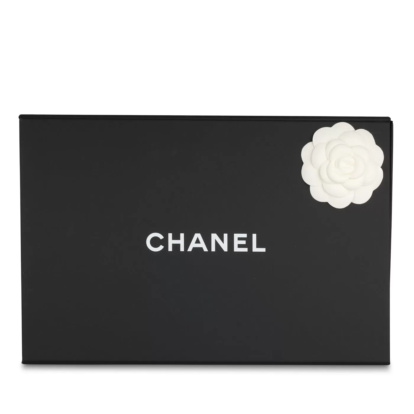 Chanel Seasonal Chain Flap Bag (NWT)