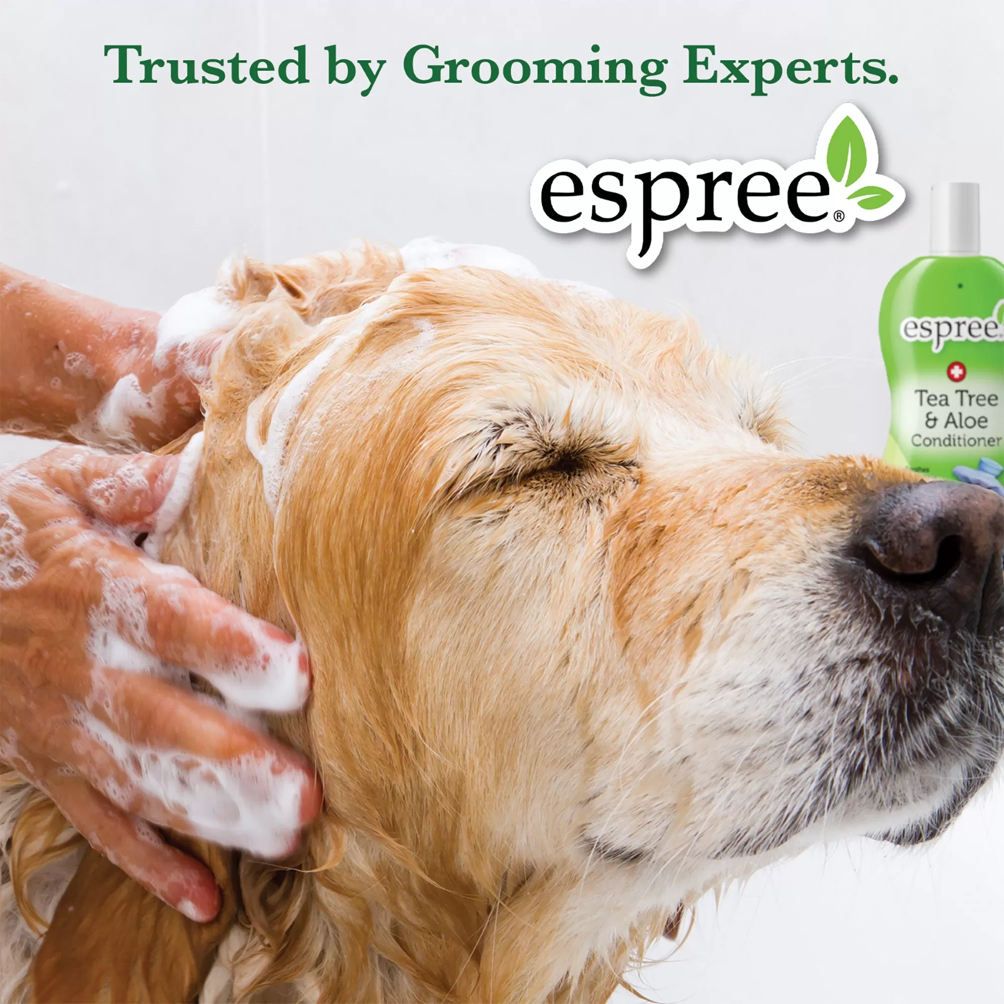 Espree Silky Show Shampoo For Dogs & Cats 20 Ounce