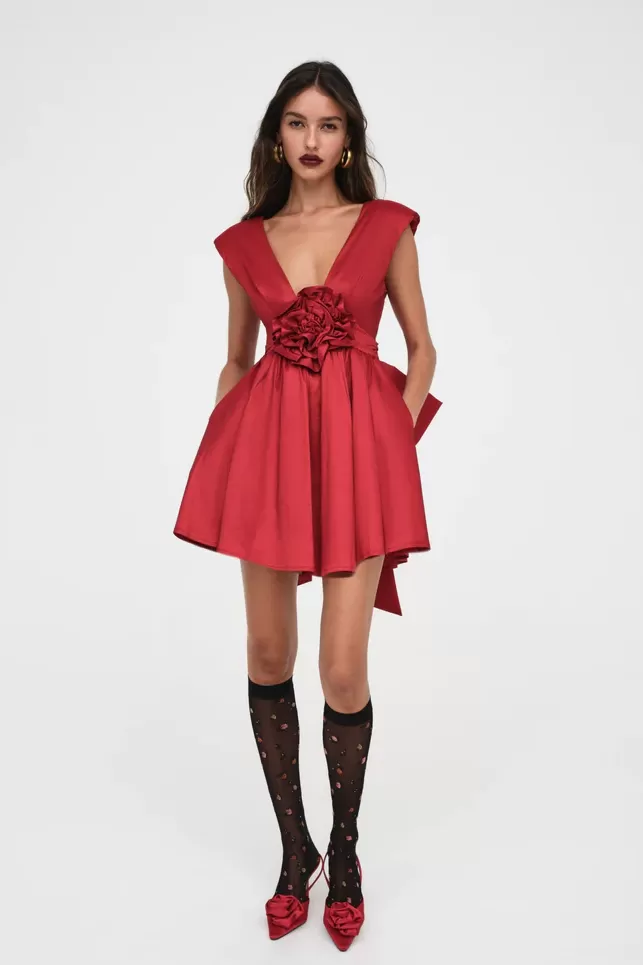 Rose Mini Dress