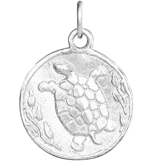 Turtle Coin Charm