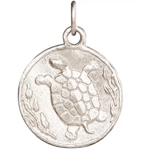 Turtle Coin Charm